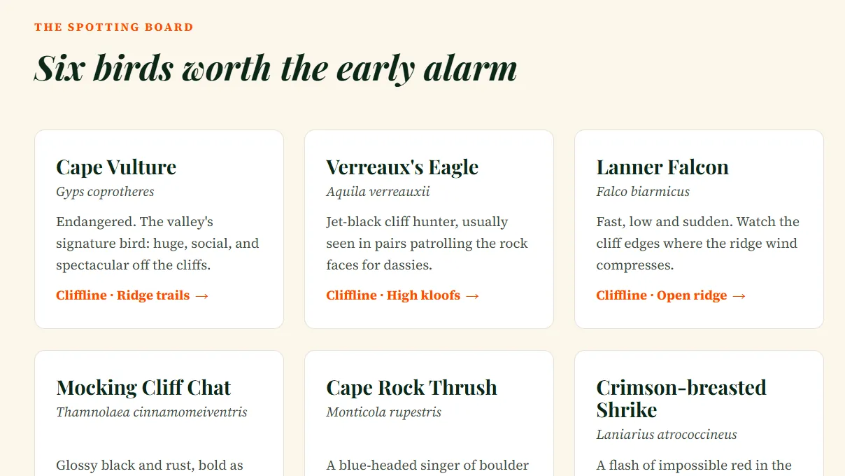 Birdwatching page — a spotting board of six birds, from the Cape Vulture to the Crimson-breasted Shrike